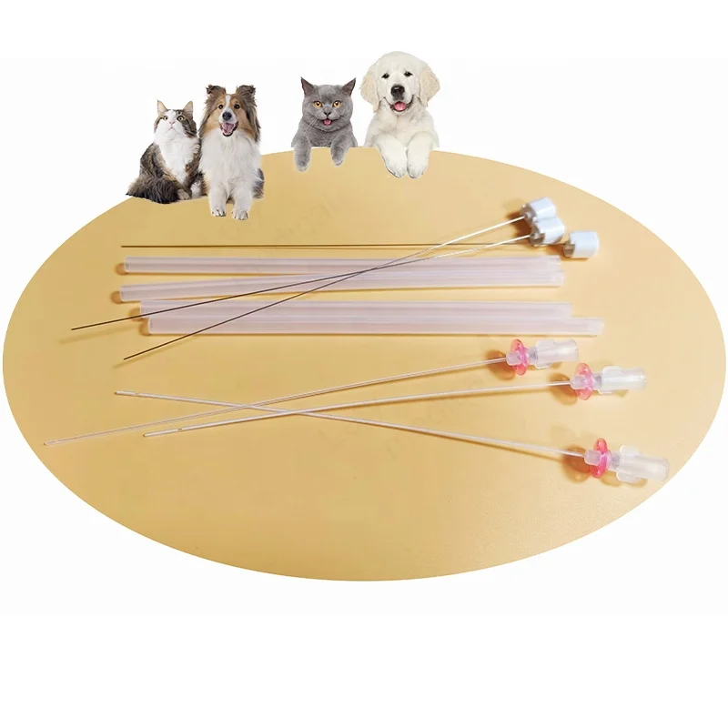 Wholesale Price Cat Catheter With Stylet For Vet Clinic Pet Urinary Catheter 3fr 4fr 130mm 145mm