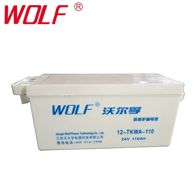 24V110Ah Lead Acid Armored Vehicle Batteries 12-TKWA-110 Dry Charged Tank Battery