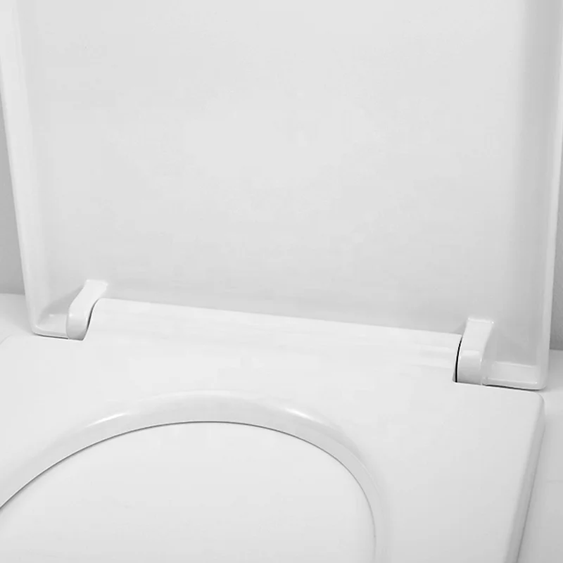 Hot Selling More Healthy Large Sanitary Ware Cover Toilet Seat With White Color And Soft Close