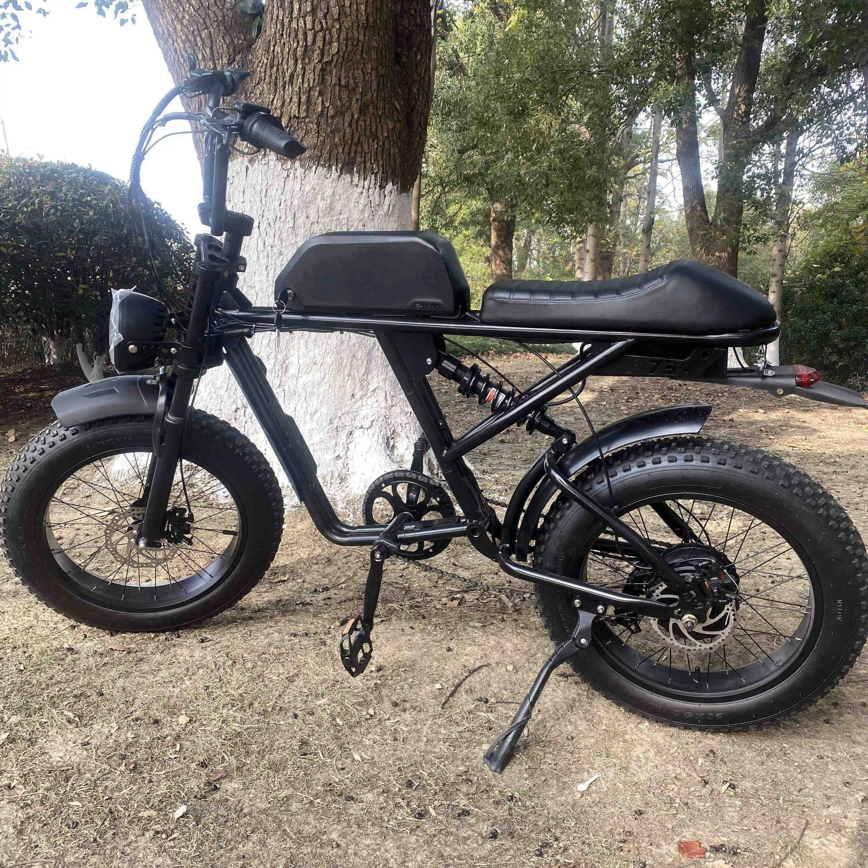 Низкая цена Bicimoto Bicicletta Electrica Ridstar Ebike