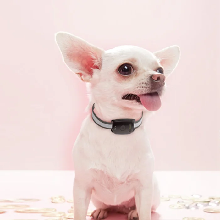 IP67 Waterproof Mini GPS Tracking Cats Collars Dog GPS Pet Tracker With Long Battery Life