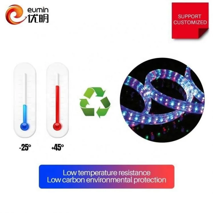 China Suppliers DC12V/24V 3 Wire led rope light 100m