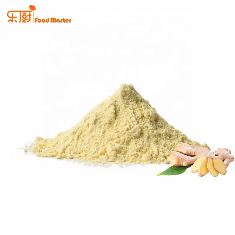 Factory price water soluble ginger seasoning powder for sauce