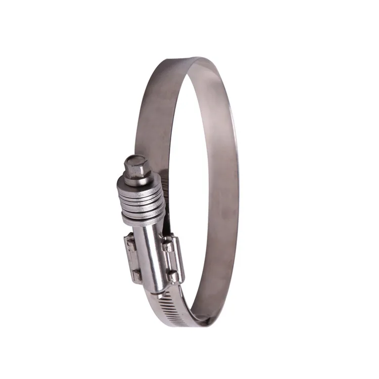 Stainless Steel Heavy Duty European Type Hose Clamp for Automotive