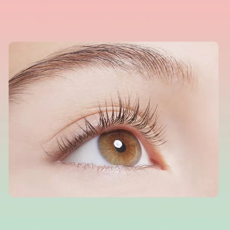 Wispy Super Strong Professional Accent Clean Look Eye Make-up 24 hour Lashbox Paired with Volumized Eyelashes Extension