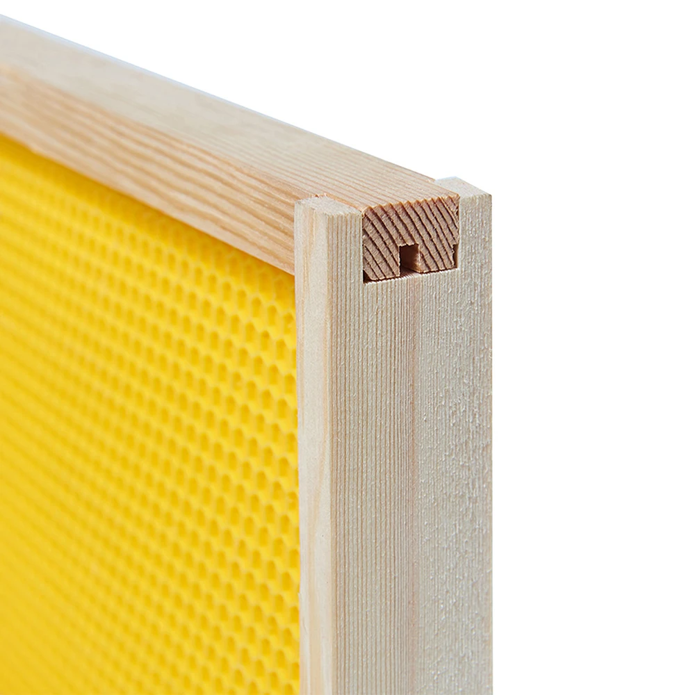 Wooden Beehive Frame Beekeeping Bee Hive Frame with Plastic Foundation Sheet