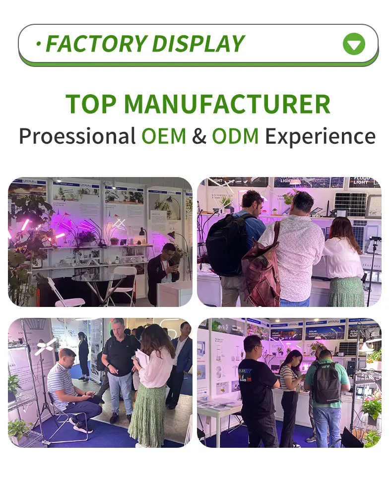 High quality Full Spectrum  DC 5V  6W Indoor Plant Design Indoor Plant Growth home LED Grow Light