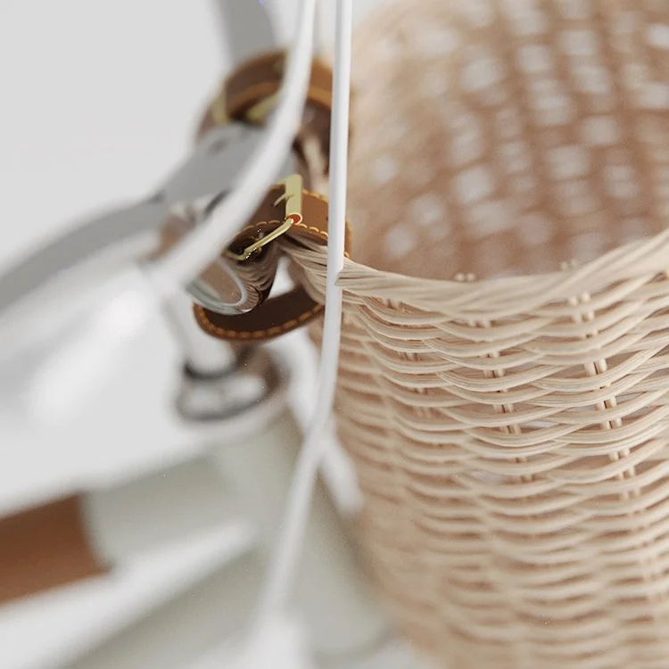 Cute Style Balanced Bicycles Carbon Fibre Bikes with Training Wheel for Kids