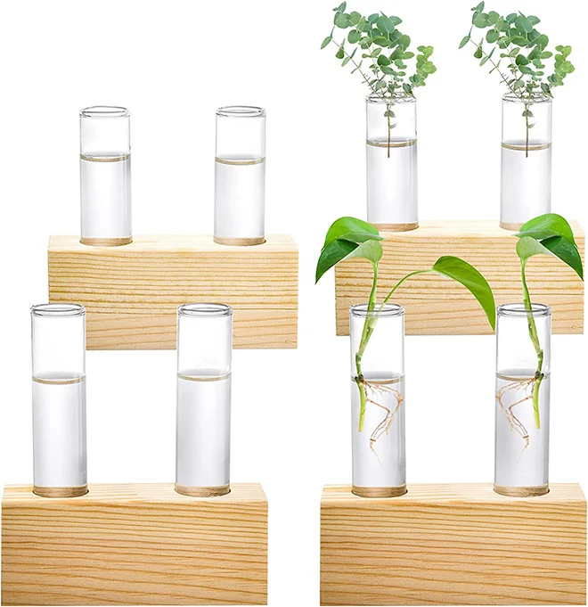 Wholesale Crystal Plant Terrarium with Wooden Stand Propagation Stations Plants Tabletop Glass Terrarium for Hydroponic Plants