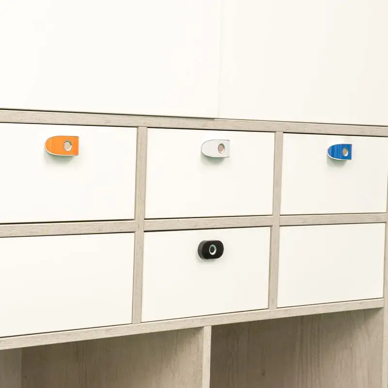 Standard Biometric Fingerprint Door Lock Electric Cylinder Smart Locks