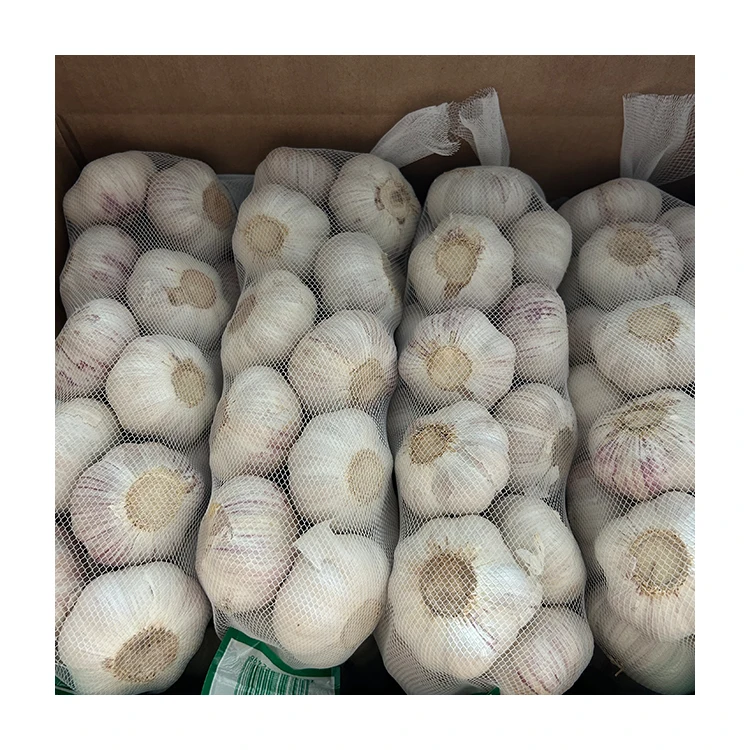 2024 Fresh Garlic Chinese Factory Direct Sale 3-4cm Sizes 10kg Mesh Bag Packed 5.0cm Red Garlic for Wholesale