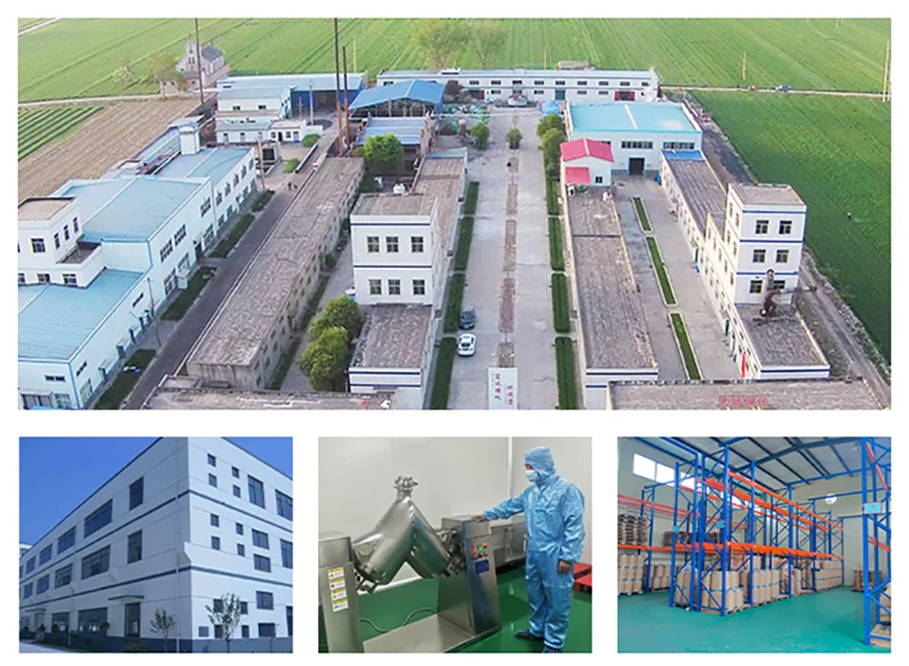 Nature Puerarin Isoflavone Puerarin Extract Powder