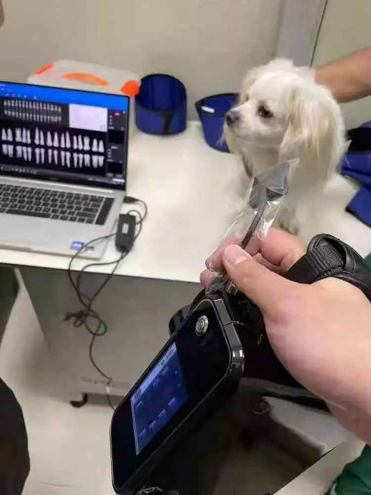 High Quality Resolution APS CMOS Dental RVG Digital Intraoral Imaging Dental X Ray Sensor