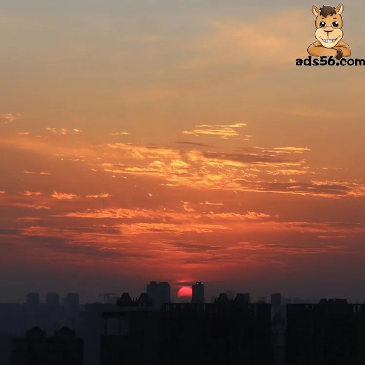 for free shipping goods LCL International rates logistics companies forwarding to Semarang  -- wechat 86 15271797980