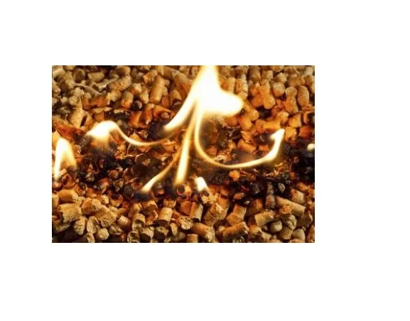 Energy Wood Pellet for Thermal Power Export to EU, USA, Japan, UAE - High Quality Wooden Pellet for BBQ, Grill, Heating, Warming