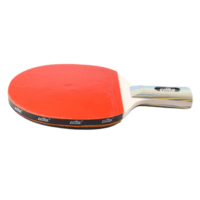 Table Tennis Racket Paddle Set Portable Storage Case Advanced Speed Control and Spin Indoor or Outdoor Play