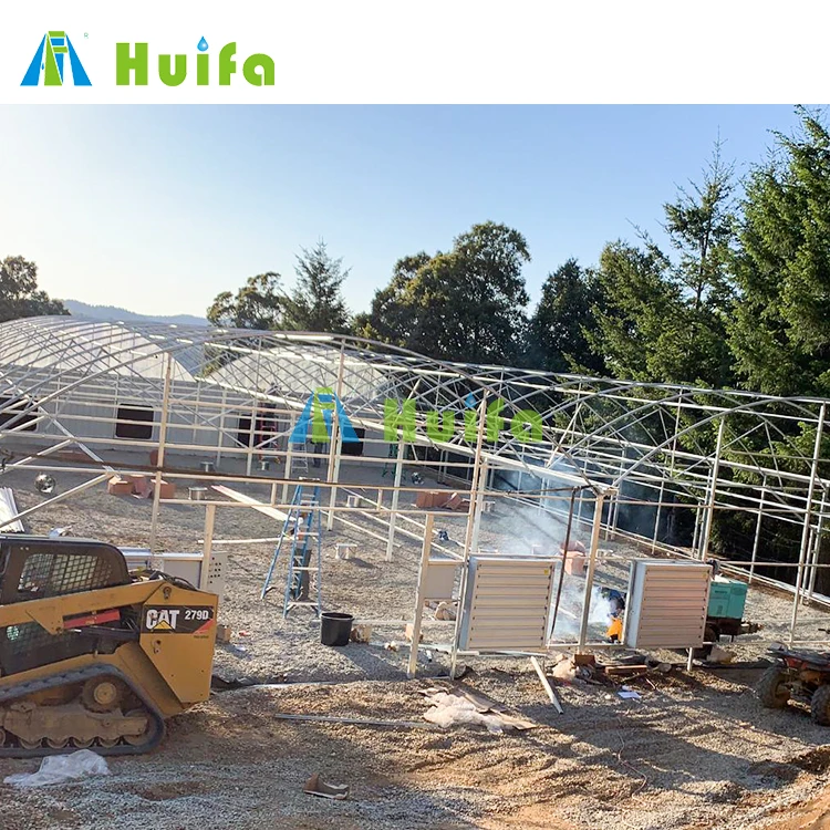 Industrial Greenhouse Hydroponic Greenhouse Tunnel Multi Span Blackout Greenhouse