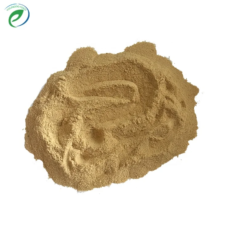 Poultry chicken feeds yeast powder with good price
