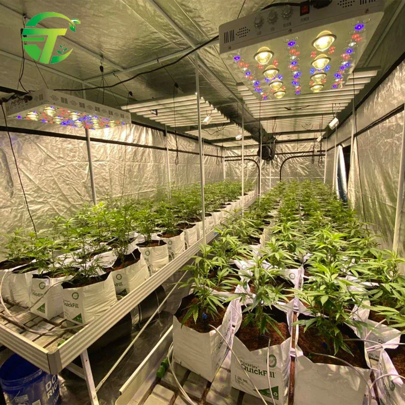 Greenhouse hydroponic system 4ft by 8ft rolling growing table ebb and flow flood ABS bench