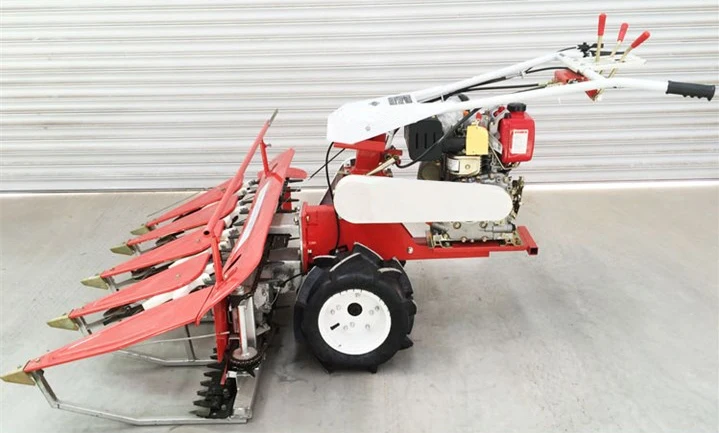 2023 Multifunctional Dry Bean Harvester