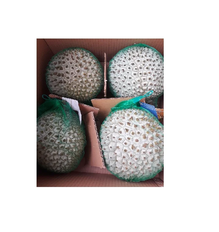 DURIAN RI6 Vietnam In Season 2021