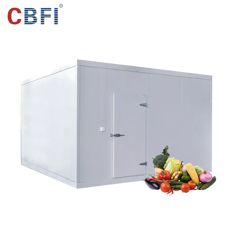 Hot selling Cold Storage Cold Room Cooling System ,  Frezeer Room For Meat And Fish