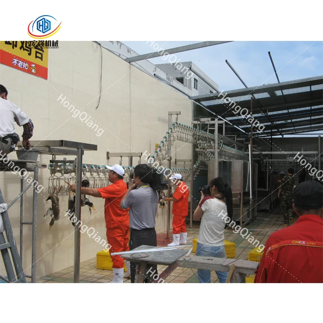Машина для удаления куриных перьев с полной линией, завод по переработке куриц для 500-600 куриц в час