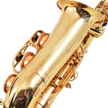 Widely Used Superior Quality Popular Product Buy Professional Alto Saxophone