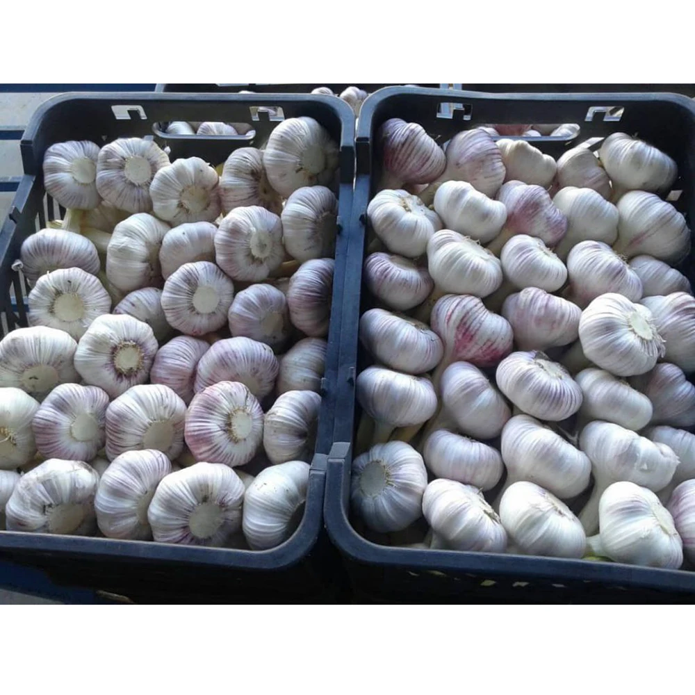 2021 New Crop Dried Minced Garlic AD Dried Flake Garlic