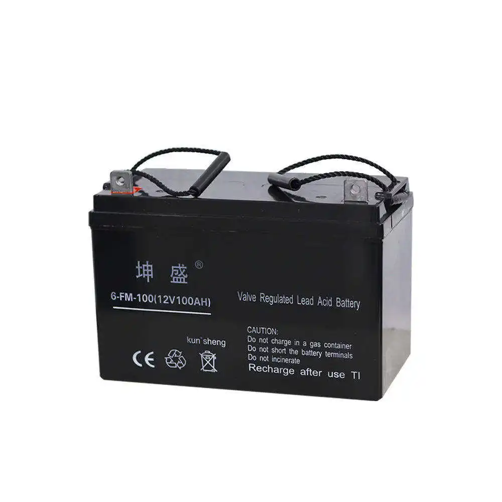 Wholesale Electric Road Vehicles Deep Cycle Solar Agm Battery 12v 100ah 29.1kg Lead Acid Battery For Sightseeing vehicle