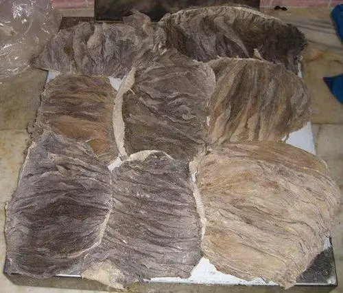 
Frozen Salted Beef Omasum 