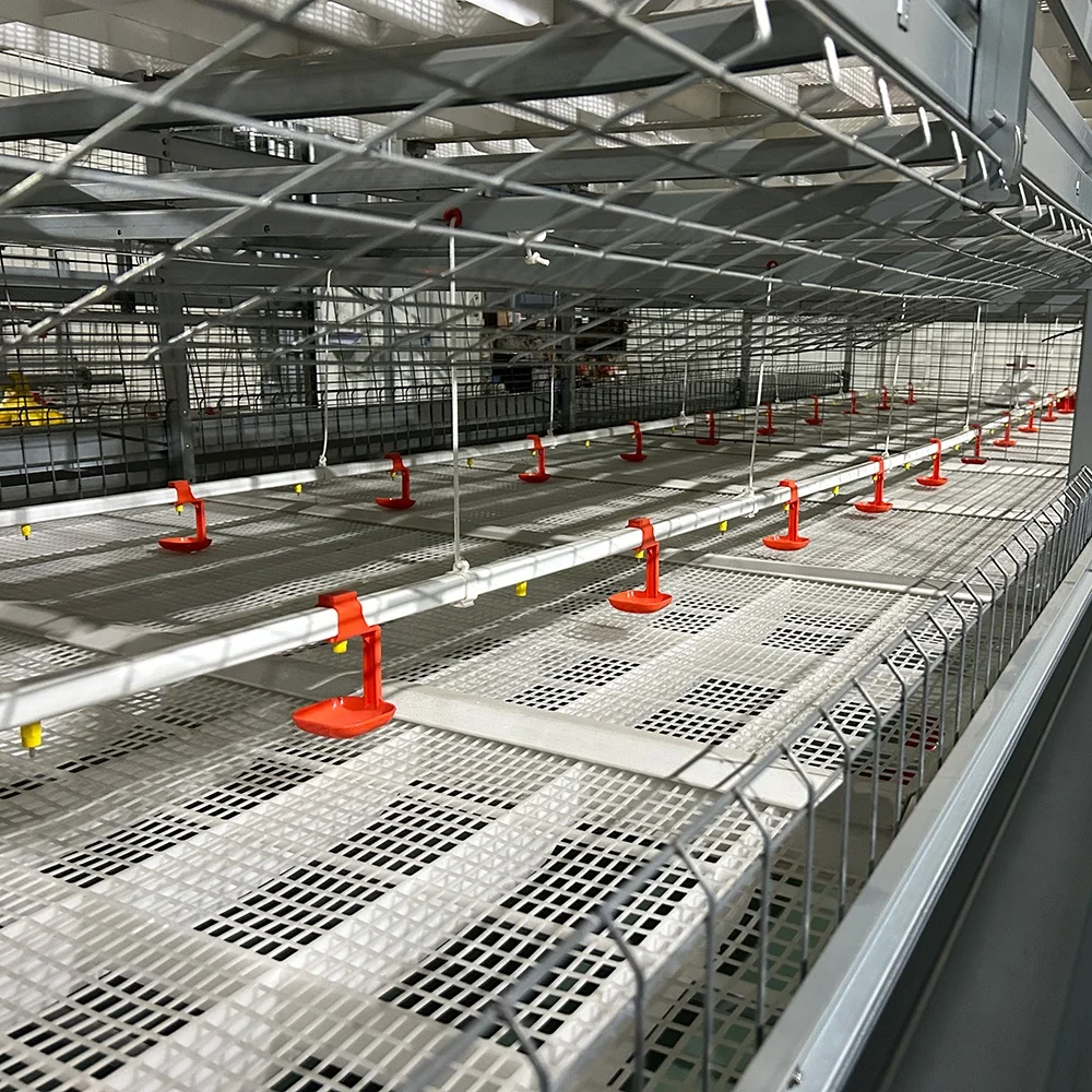 Broiler Poultry Farming Equipment Multitier H Type Automatic Harvesting System Battery Broiler Chicken Cage For Raising Broilers