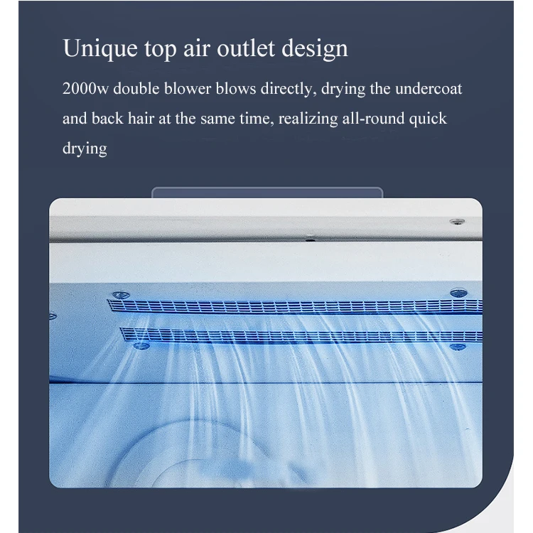 Ionic Pet Dryer