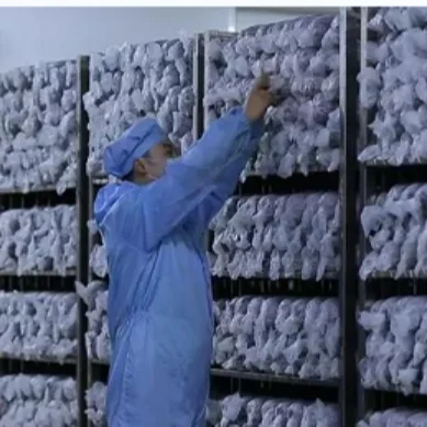 
china flower shiitake mushroom spawn log growing bag reusable water injection waterflooding sryringe 