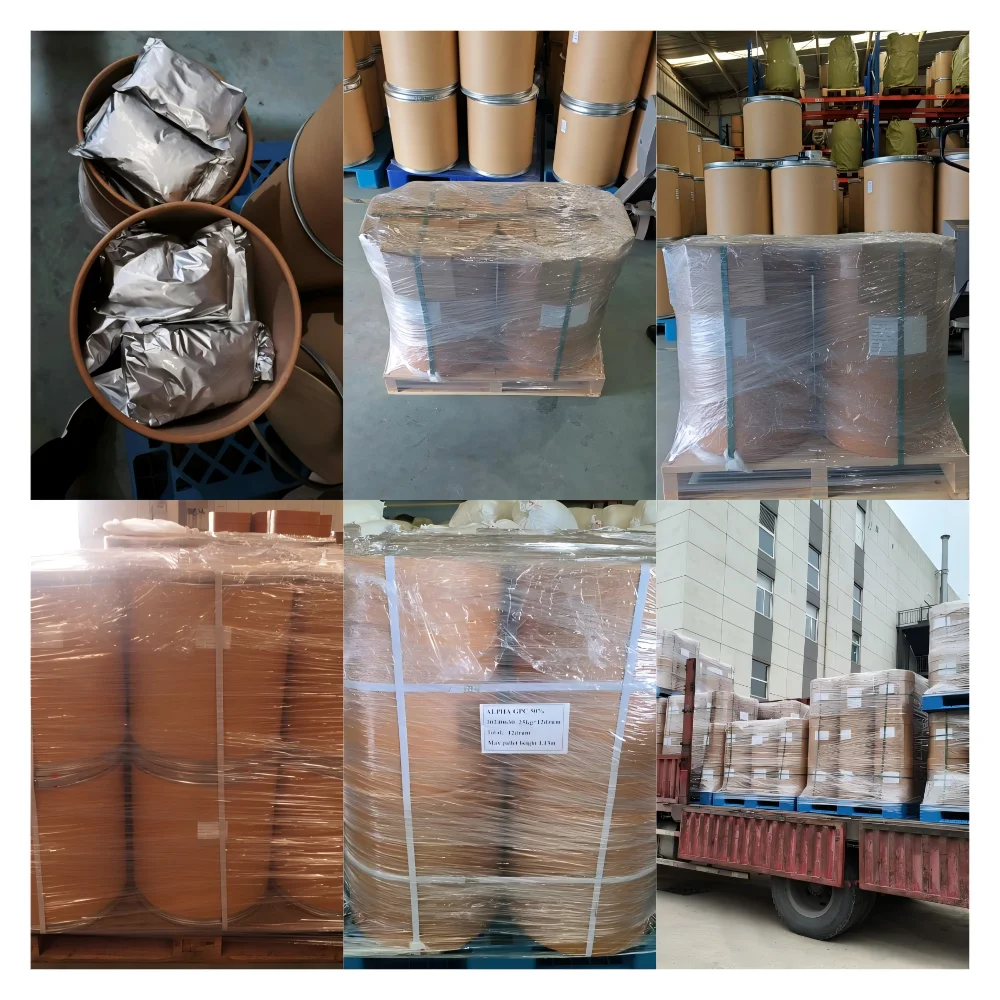 Органический экстракт Notoginseng порошок пищевые высокие сапонины HPLC УФ-растворитель сертифицированный Халяль доступный мешок для барабана