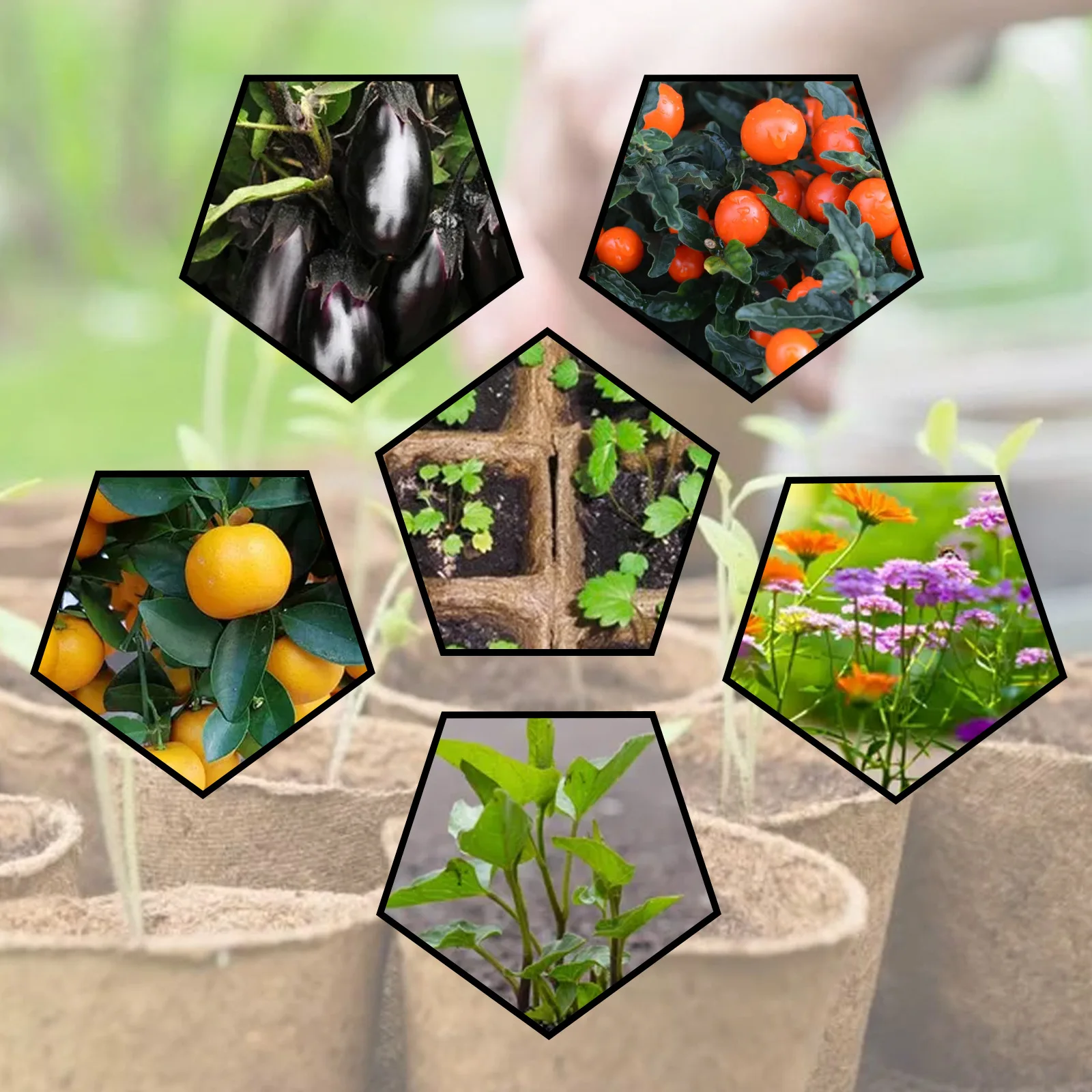 YEGBONG OEM&ODM Seedling Starter Tray Plant Germination Box Seed Nursery Cup Organic Biodegradable Pot Seed Tray Planting Tools