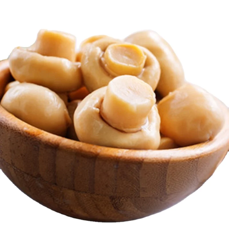 Low Price Mushroom in Can