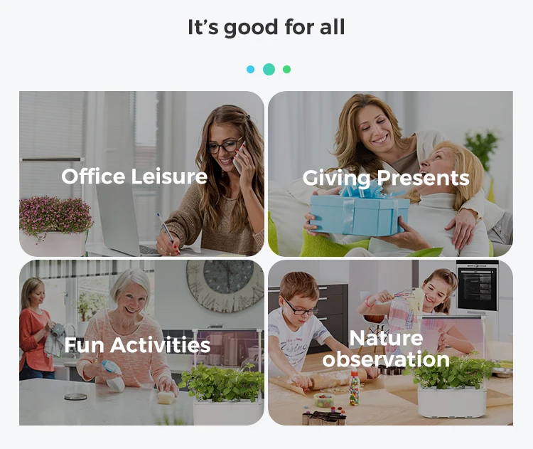 RY desktop hydroponics plant bonsai flower pot indoor garden with grow light hydroponic flower pot