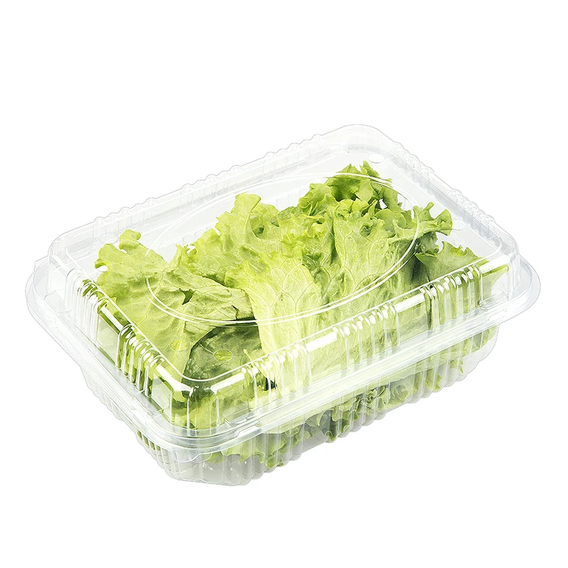 Disposable PET Plastic Blister Mushrooms Punnet Lettuce Container Fruit And Vegetable Clamshell Tray Hinged Box With Holes