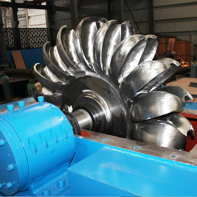 100KW 1MW 10MW 50MW Free Energy hydro power generator pelton turbine for sale