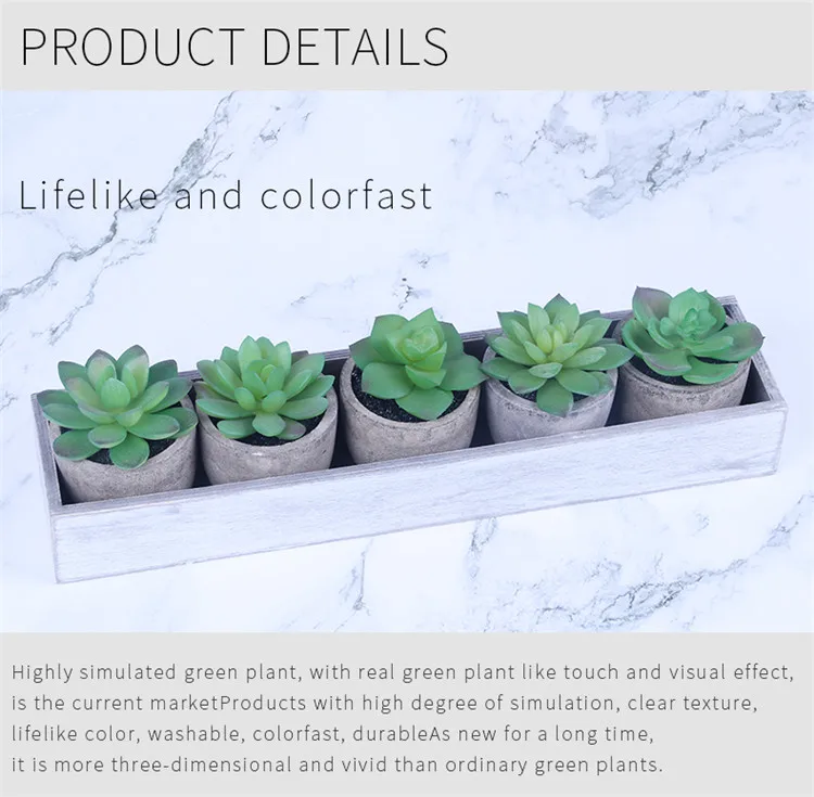 Artificial Succulent Plants Assorted Decorative Faux Succulent Potted Fake Cactus Cacti Plants with Gray Pots Set of 5 ES0845