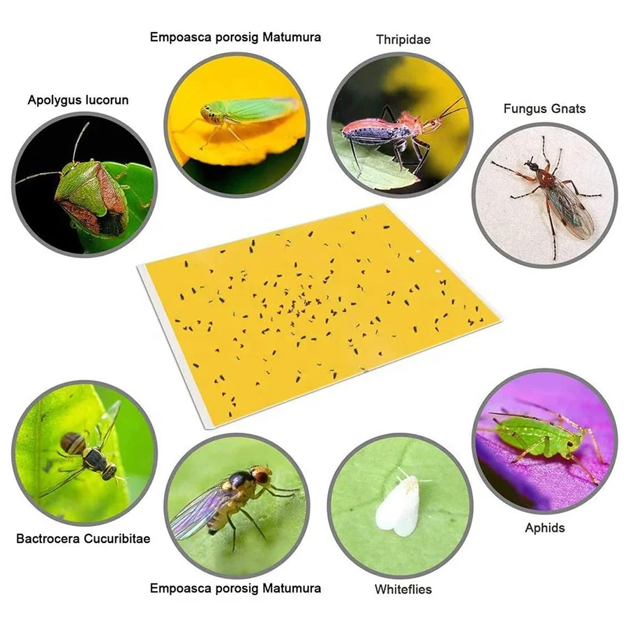 Pest Control Product Dual-Sided Yellow Sticky Traps for Indoor  Outdoor Use 12packs With Twist Ties and Plastic Holders