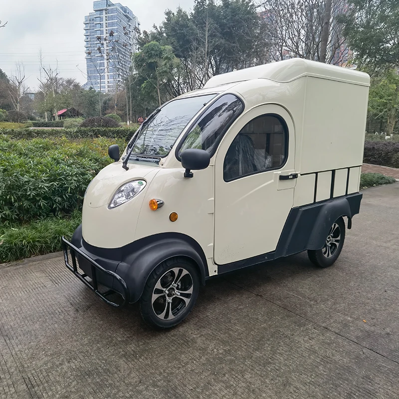 Enclosed Plastic Body Electric Truck 2500W Motorcycle Truck Electric Cargo car with EEC certificate