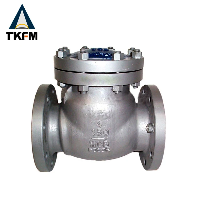 vertical horizontal water full opening swing type wcb casting flanged non return check valve