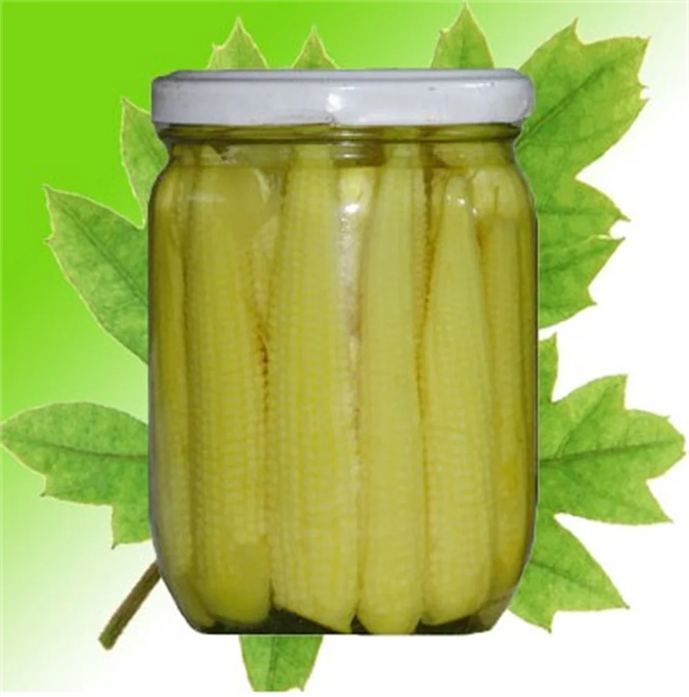 Water preservation young corn baby corn in cans with label