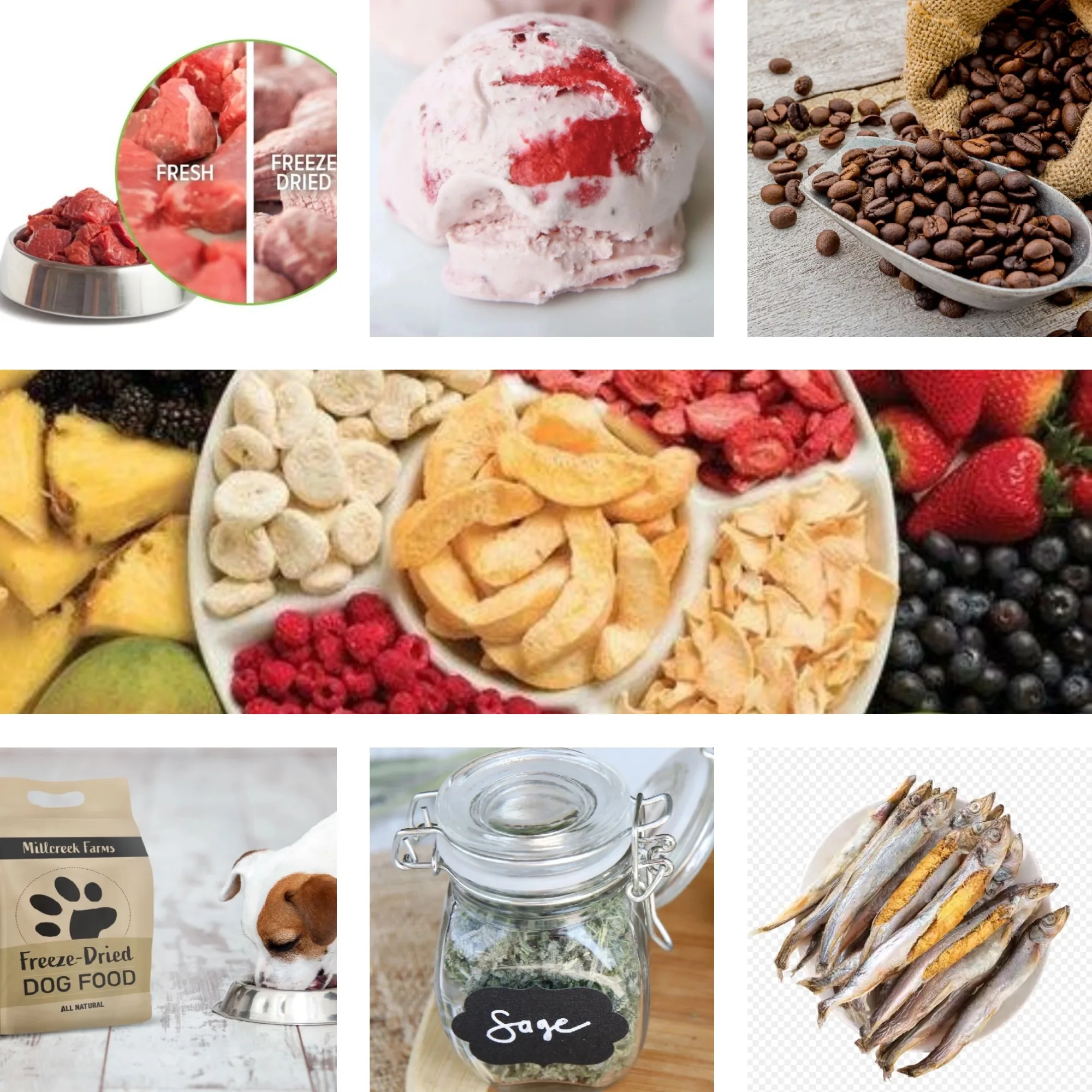 High Quality Electric Freeze Dryer Machine Food Processing Equipment Cheap Price Freeze Dried Food Storage Freezer Freezing