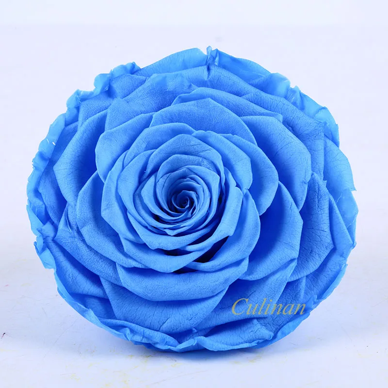 Culinan Wholesale Freeze Dried Roses Supplier Preserved Rose Preserved Flower Rose For Online Flowers Business