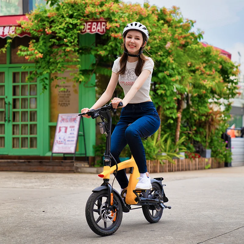 EU Hot sale CE Electric bicycle with foldable bike 36v 250w removable battery riding 14inch 10AH city leisure electric bike