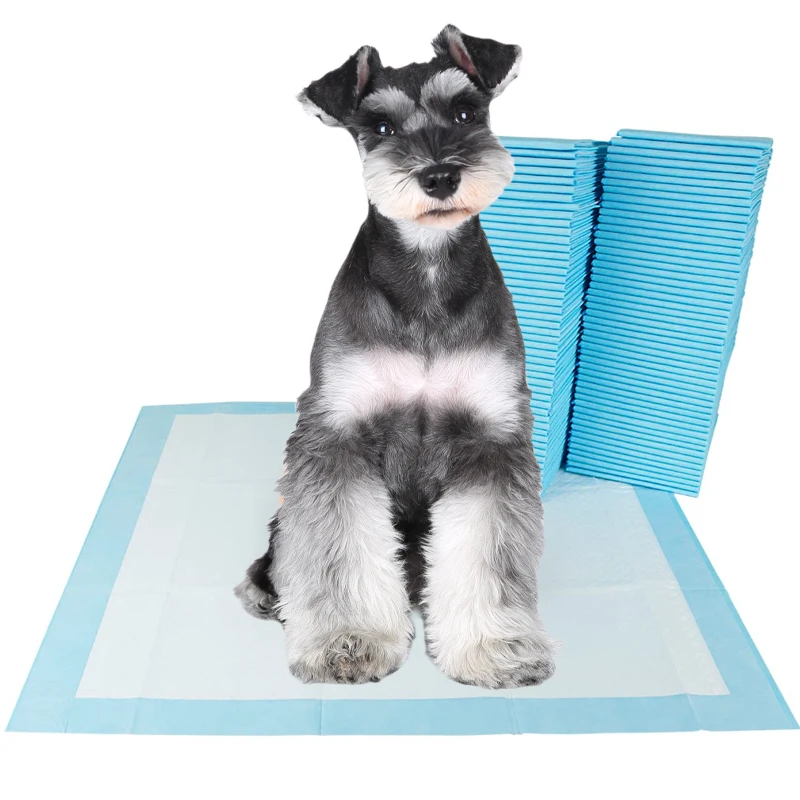 Wholesale cheap price high absorbent disposable puppy training dog pee puppy pads