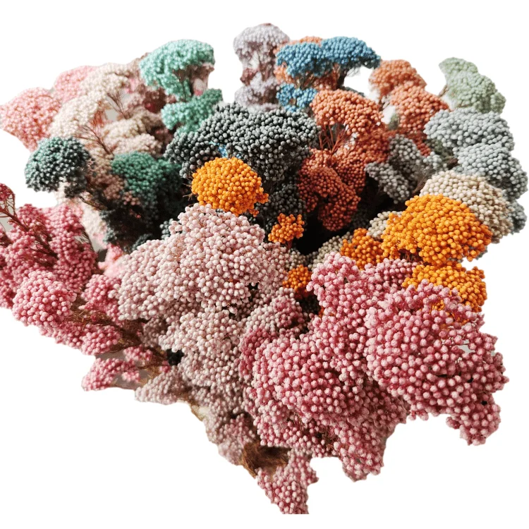 
preserved Millet flower for bouquet making and household flower arrangement preserved rice flower 